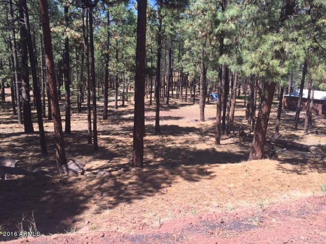 7719 E LONG BOW Drive, Williams, AZ 86046