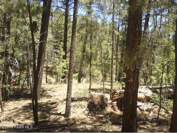 0 Copper Basin Road, Prescott, AZ 86301