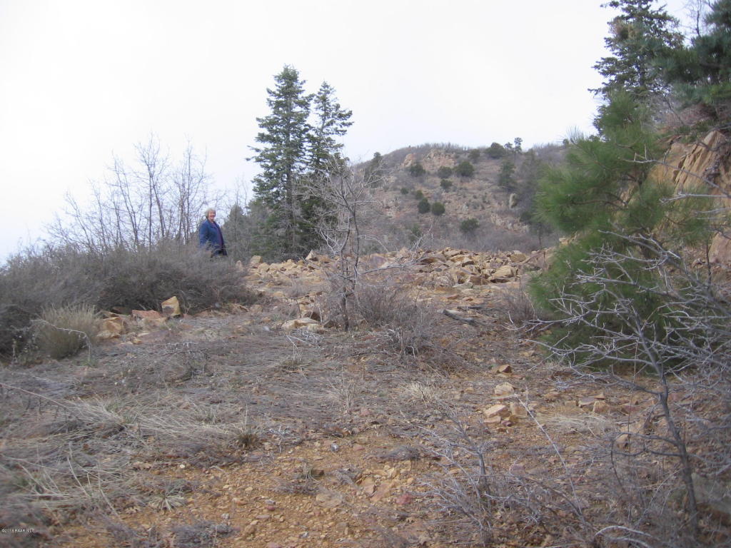 Parcel B Fr Rd 261a, Potato Patch, AZ 86301