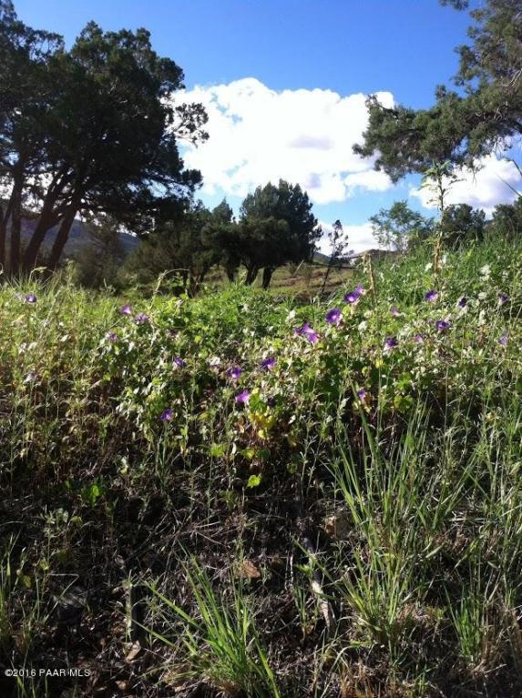 1311 Butterfield Road, Prescott, AZ 86301