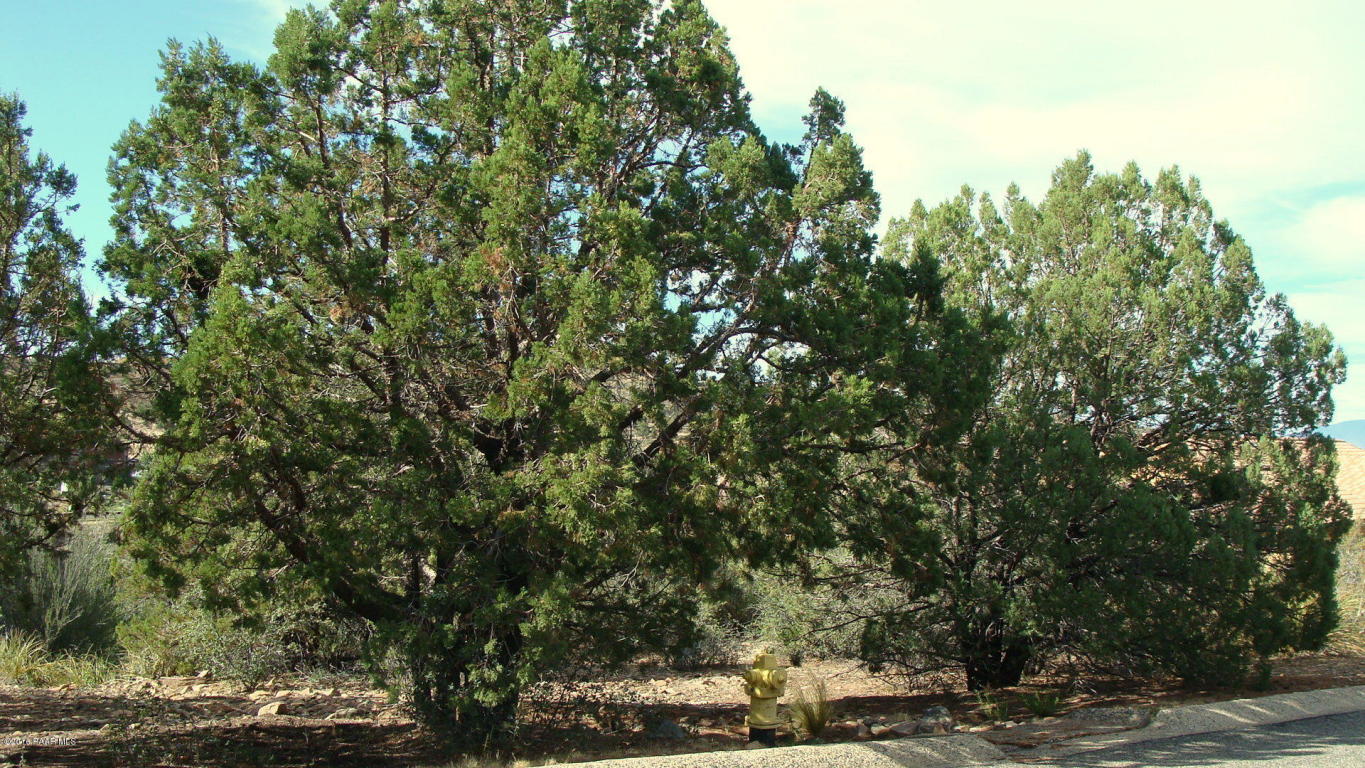 118 N Murphy Way, Prescott, AZ 86303