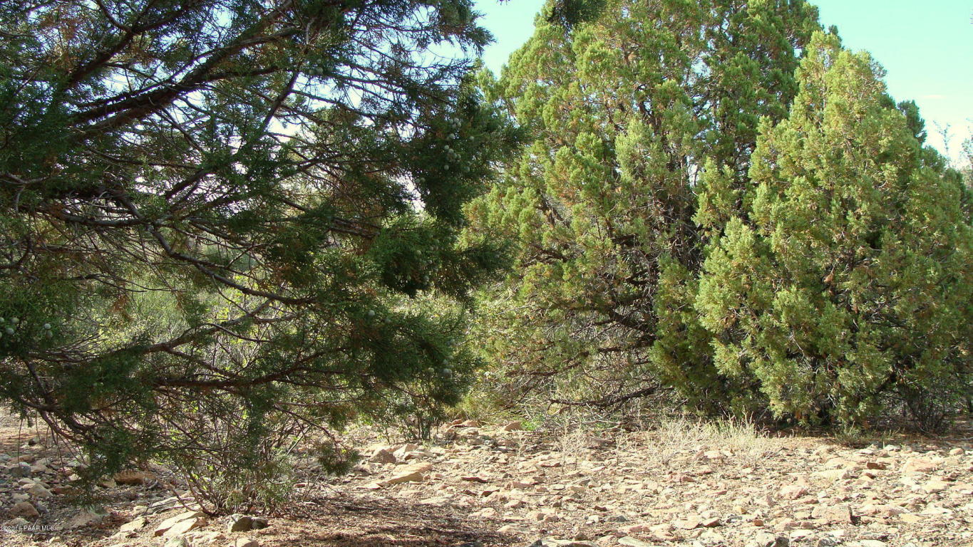118 N Murphy Way, Prescott, AZ 86303