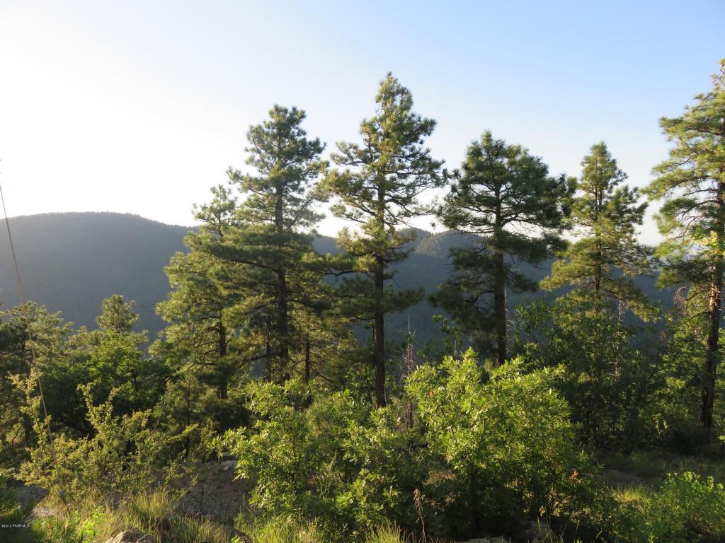 0 Off E Cayuga Drive, Prescott, AZ 86303