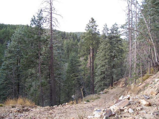 3725 E WALKER Road, Prescott, AZ 86303