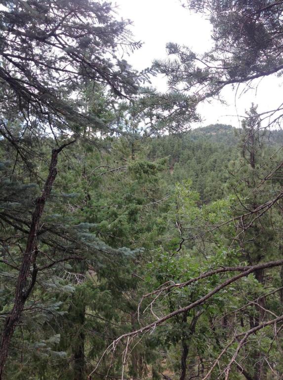 3725 E WALKER Road, Prescott, AZ 86303