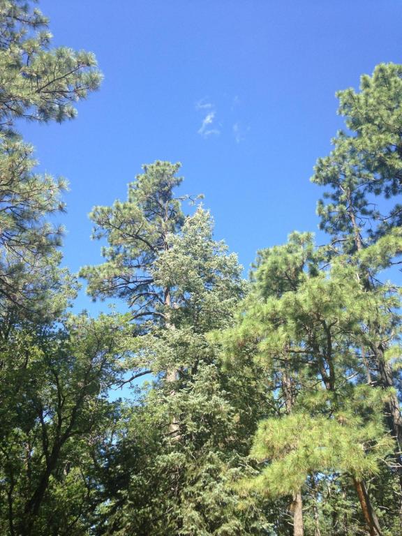 0 Pristine Pines, Prescott, AZ 86303