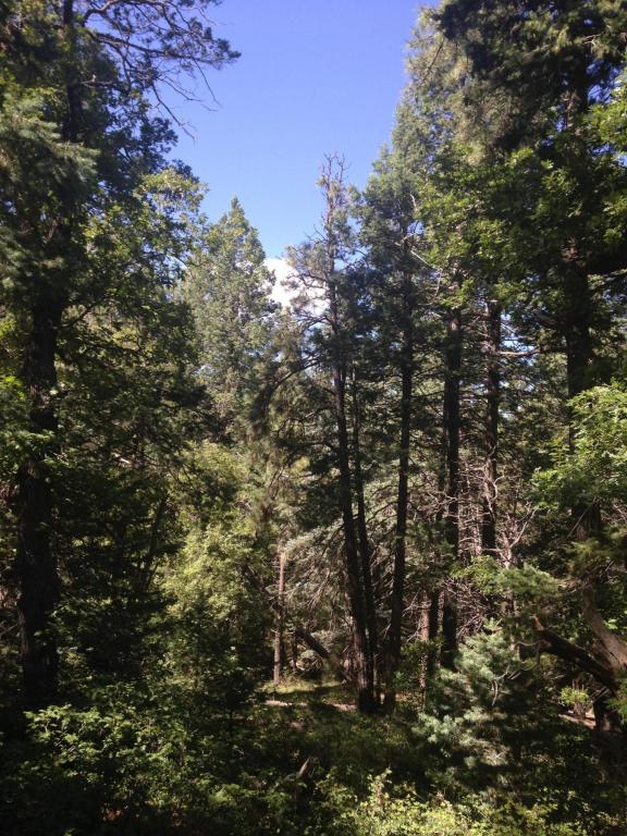 0 Pristine Pines, Prescott, AZ 86303