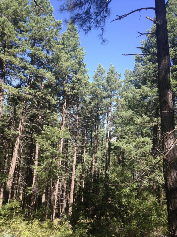 0 Pristine Pines, Prescott, AZ 86303