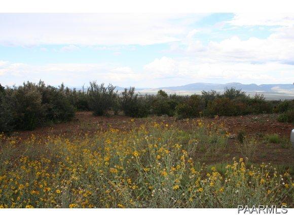 430 N FLYING FOX Trail, Prescott, AZ 86303