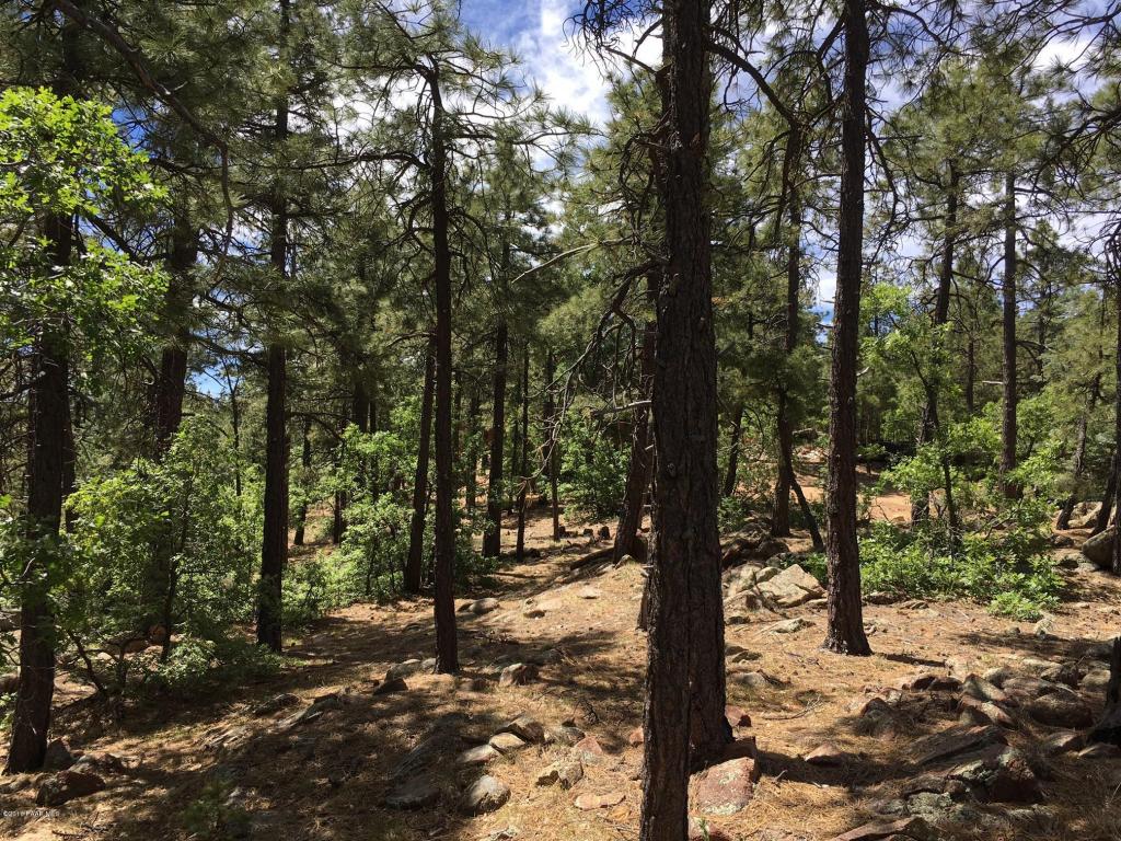 8009 S Snowdrift Mine Road, Prescott, AZ 86303