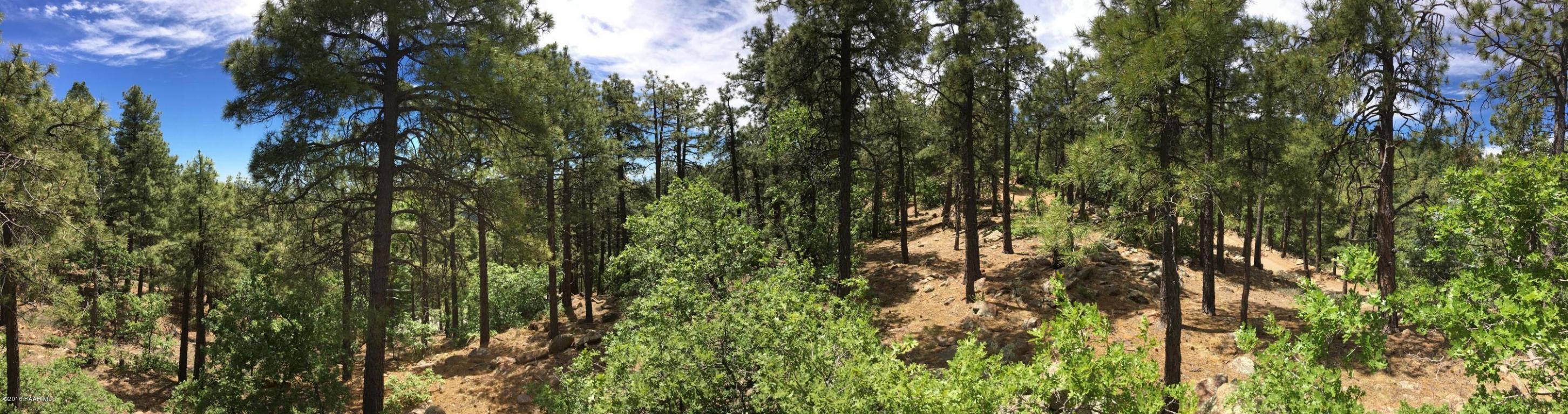 8009 S Snowdrift Mine Road, Prescott, AZ 86303