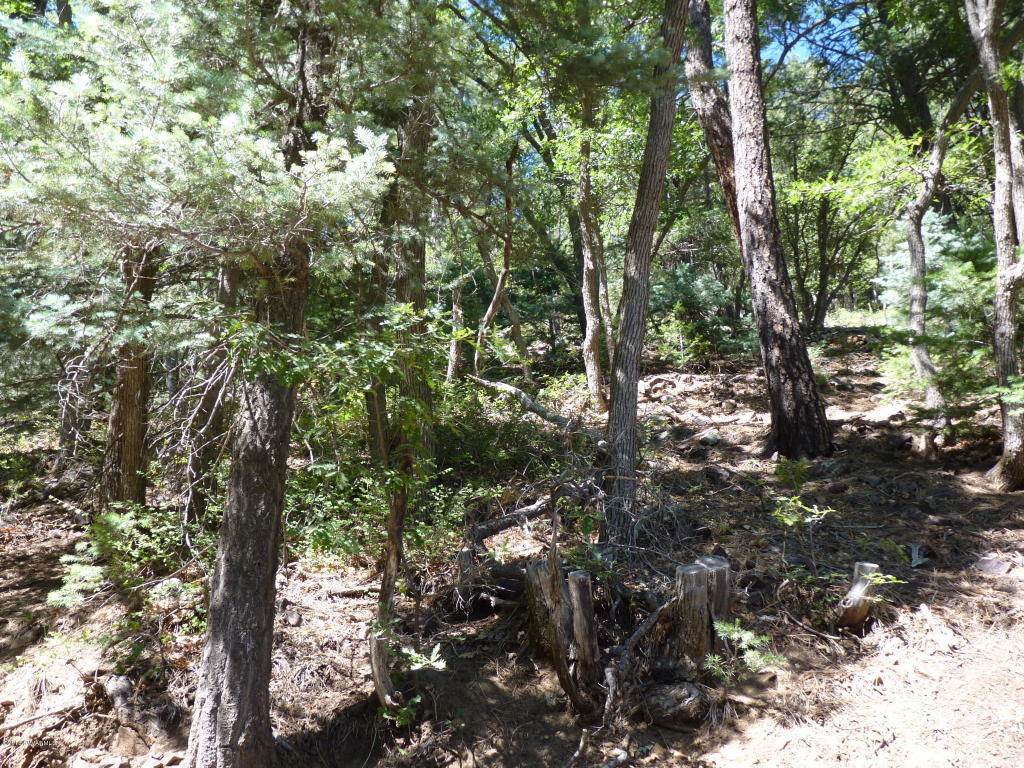 1f Walker Rd, Prescott, AZ 86303