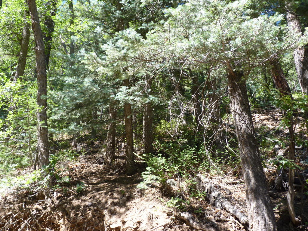 1f Walker Rd, Prescott, AZ 86303