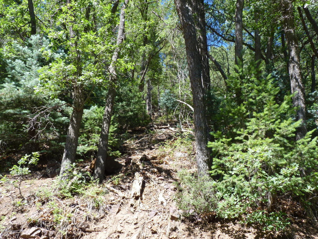 1f Walker Rd, Prescott, AZ 86303