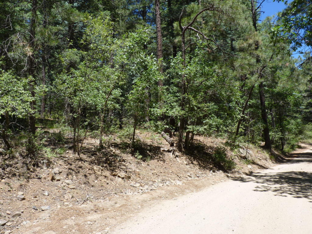 1f Walker Road, Prescott, AZ 86303