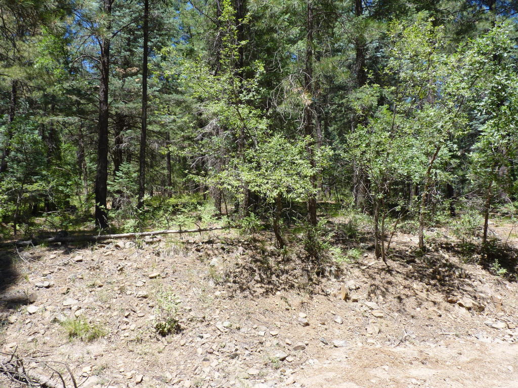 1f Walker Road, Prescott, AZ 86303