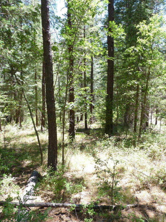 1e Walker Rd, Prescott, AZ 86303