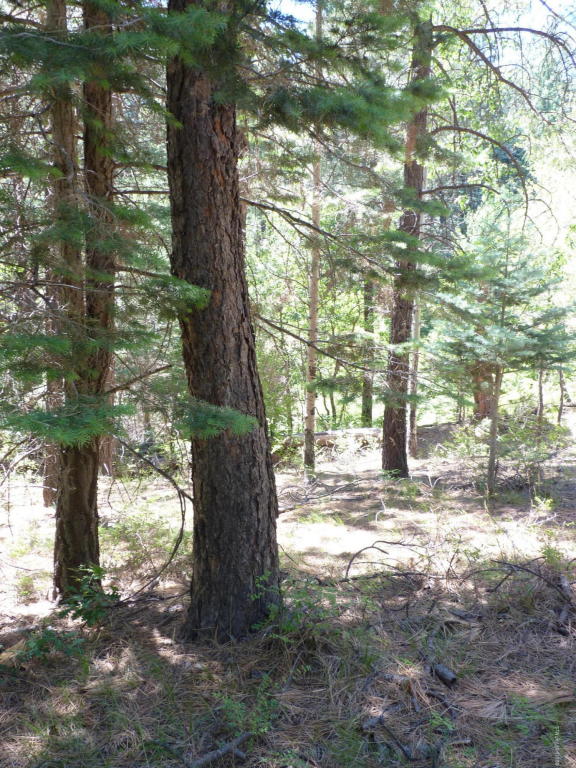 1e Walker Rd, Prescott, AZ 86303