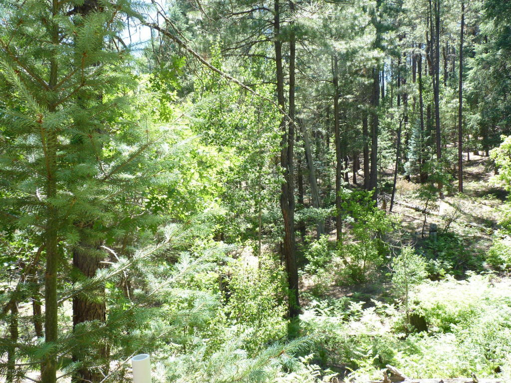 1e Walker Rd, Prescott, AZ 86303