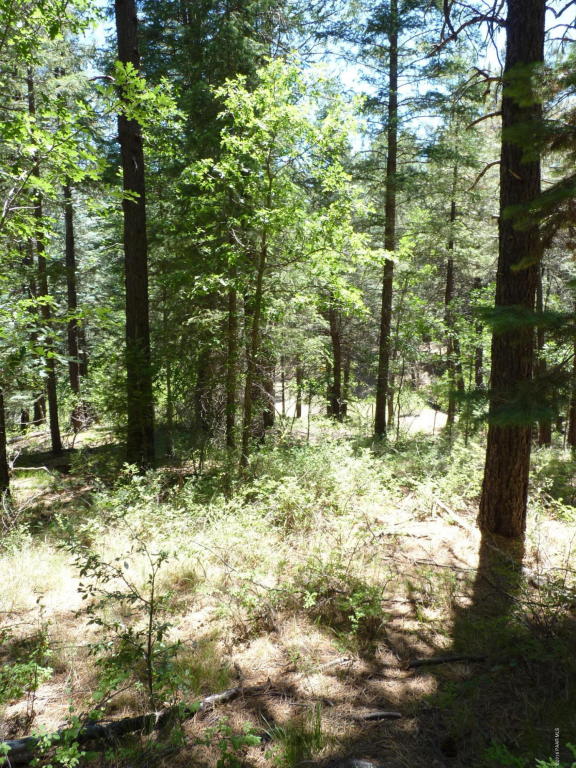 1e Walker Road, Prescott, AZ 86303