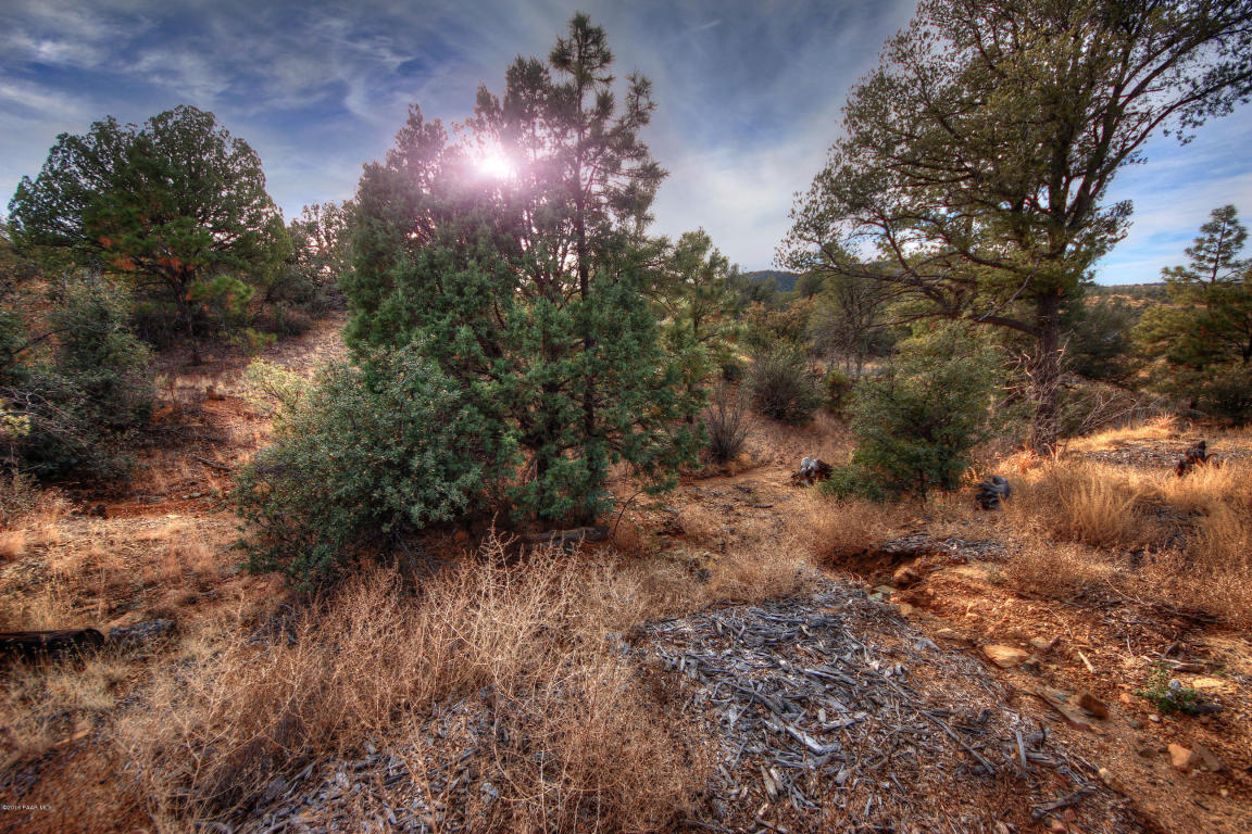5230 E Fitzmaurice Drive, Prescott, AZ 86303