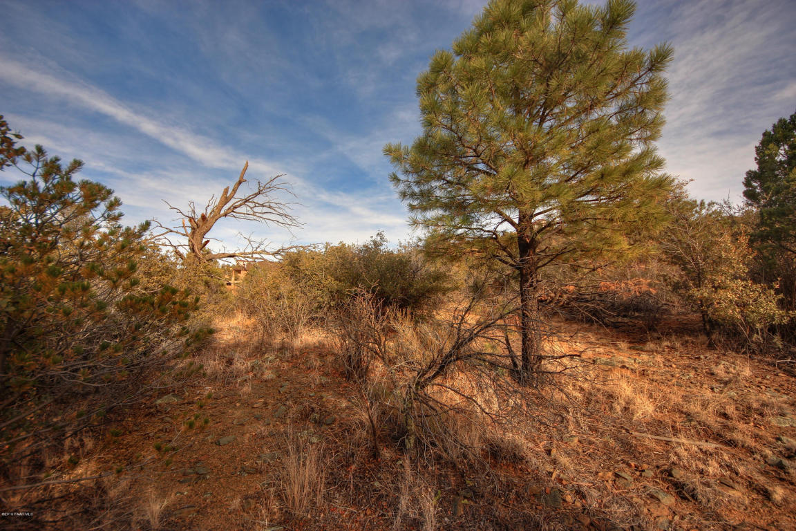 5230 E Fitzmaurice Drive, Prescott, AZ 86303