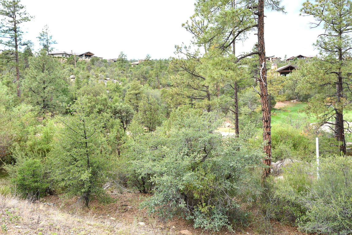 584 LODGE TRAIL Circle, Prescott, AZ 86303