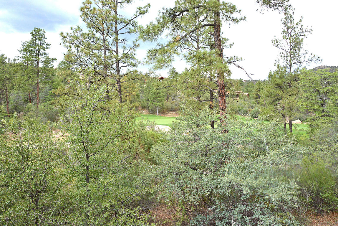 584 LODGE TRAIL Circle, Prescott, AZ 86303