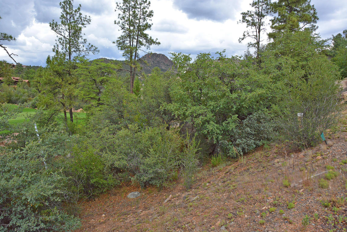 584 LODGE TRAIL Circle, Prescott, AZ 86303