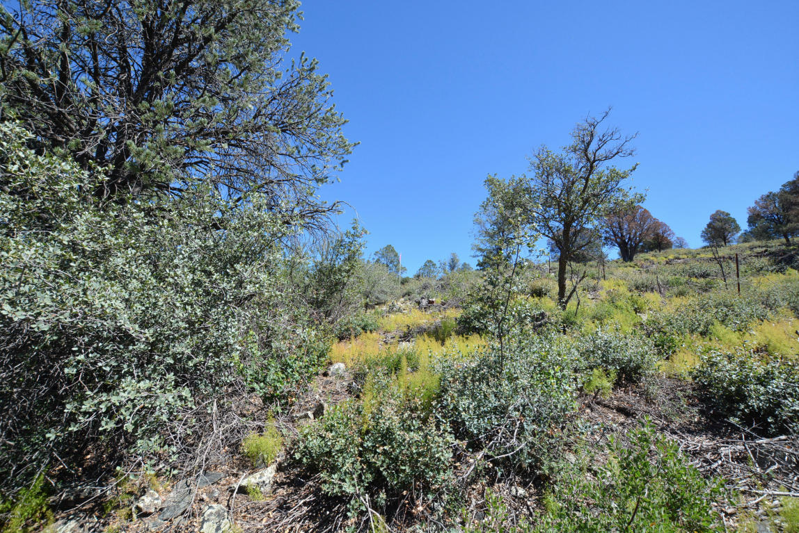3208 RAINBOW RIDGE Drive, Prescott, AZ 86303