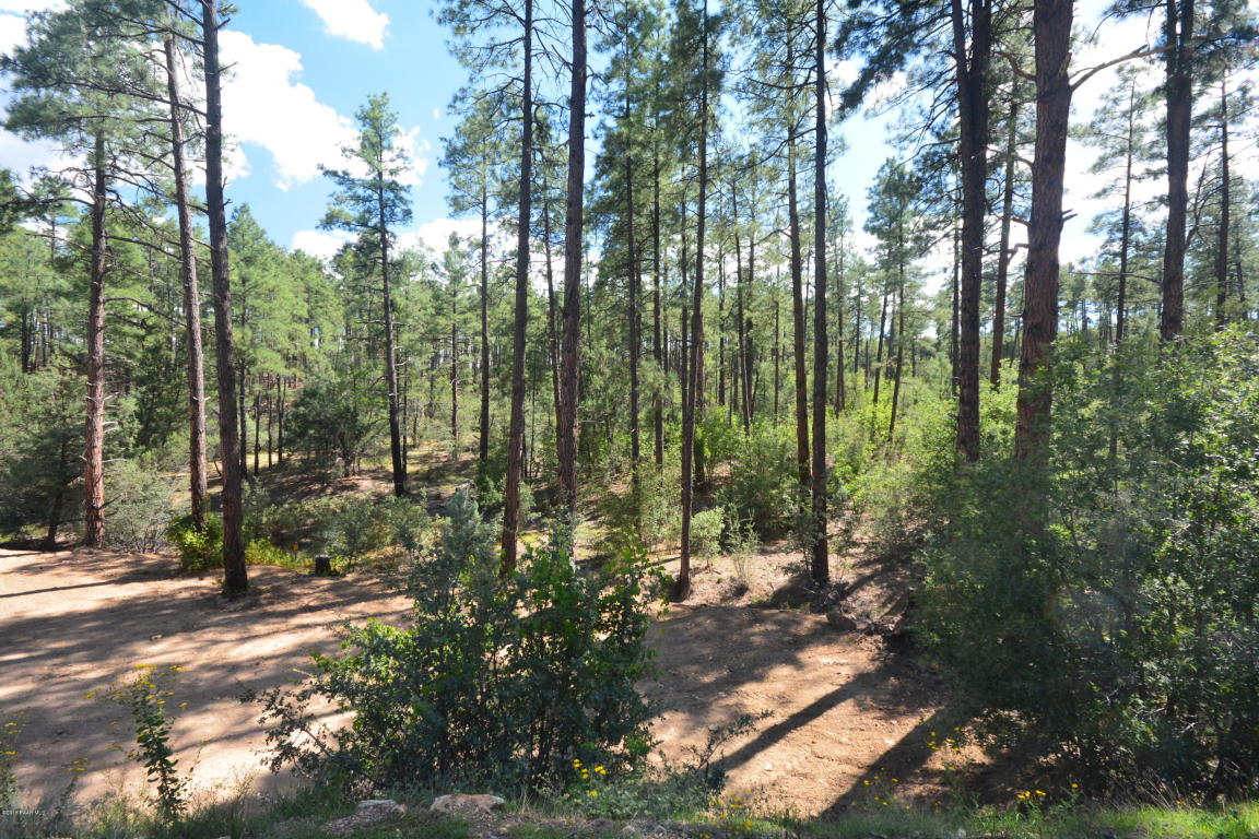 1621 S Cathedral Pines Drive, Prescott, AZ 86303