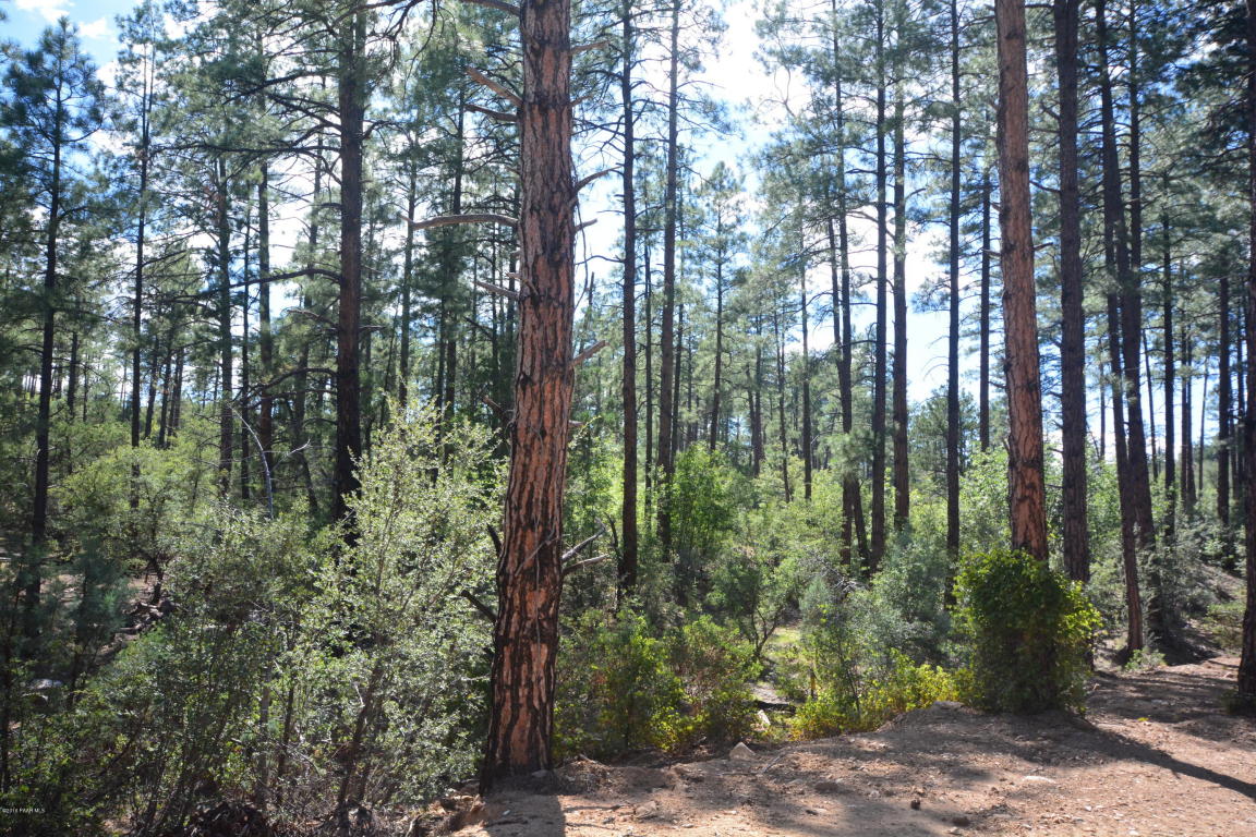 1621 S Cathedral Pines Drive, Prescott, AZ 86303