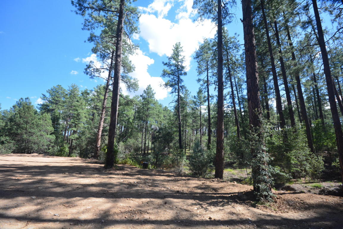 1621 S Cathedral Pines Drive, Prescott, AZ 86303