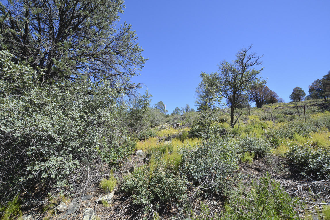 3208 Rainbow Ridge Drive, Prescott, AZ 86303