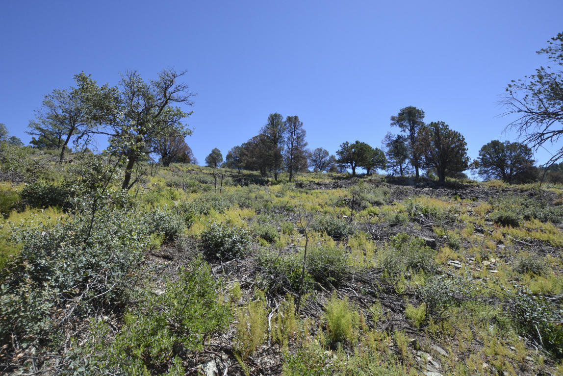 3208 Rainbow Ridge Drive, Prescott, AZ 86303