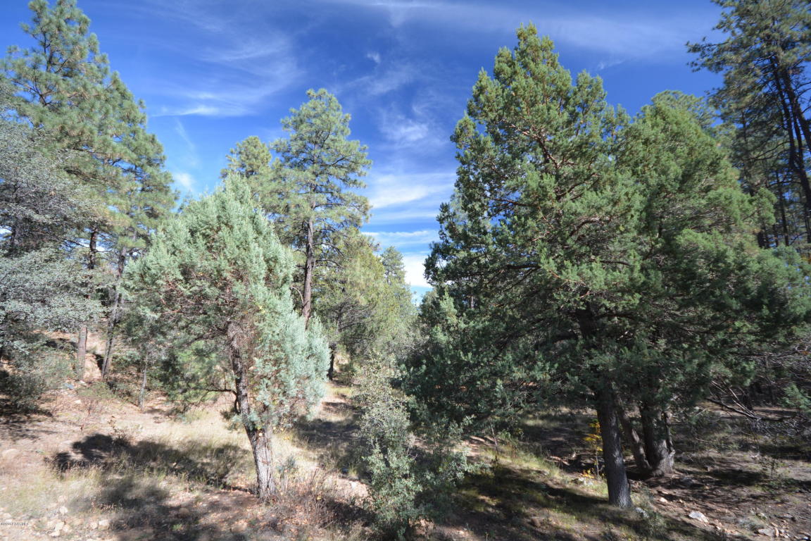 1622 W Jack Pine Road, Prescott, AZ 86303