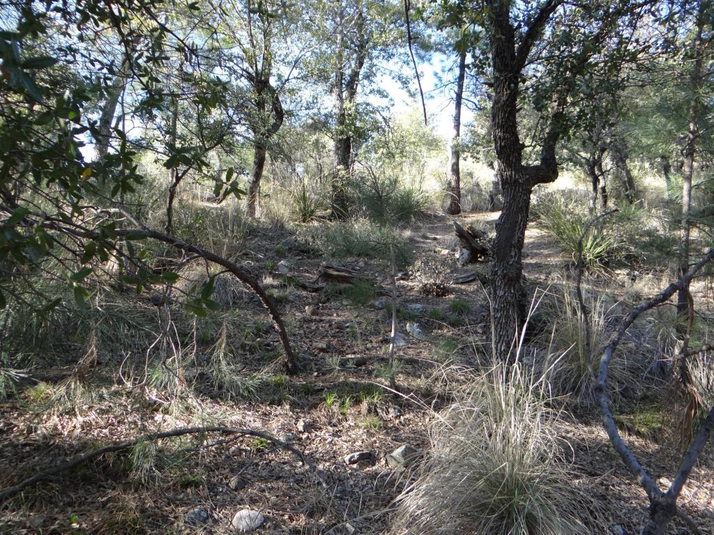 1485 N Roadrunner, Prescott, AZ 86303