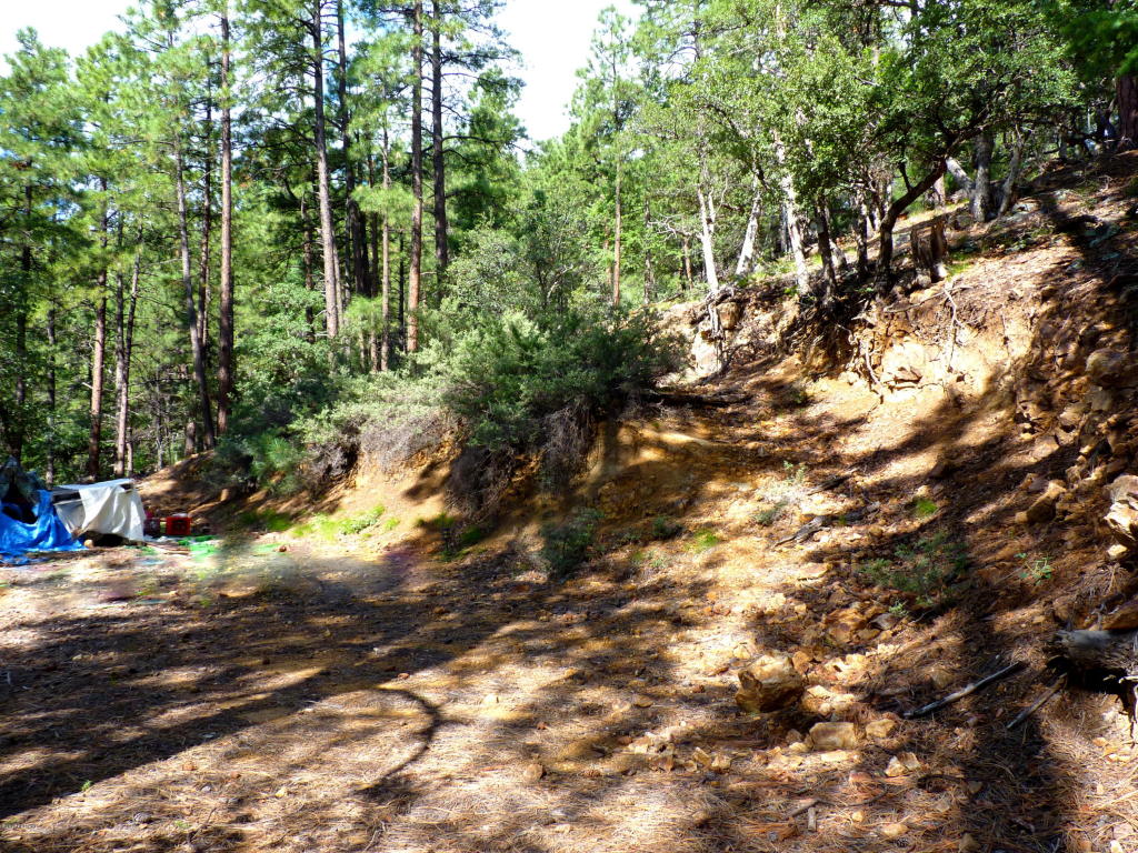 3340 E Sheldon Road, Prescott, AZ 86303