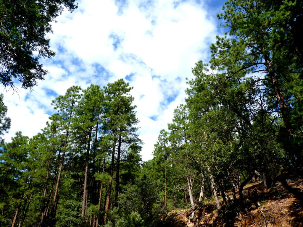 3340 E Sheldon Road, Prescott, AZ 86303