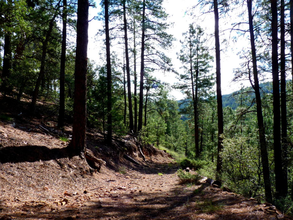 3340 E Sheldon Road, Prescott, AZ 86303