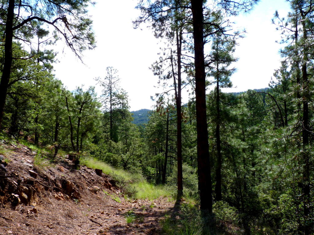 3340 E Sheldon Road, Prescott, AZ 86303