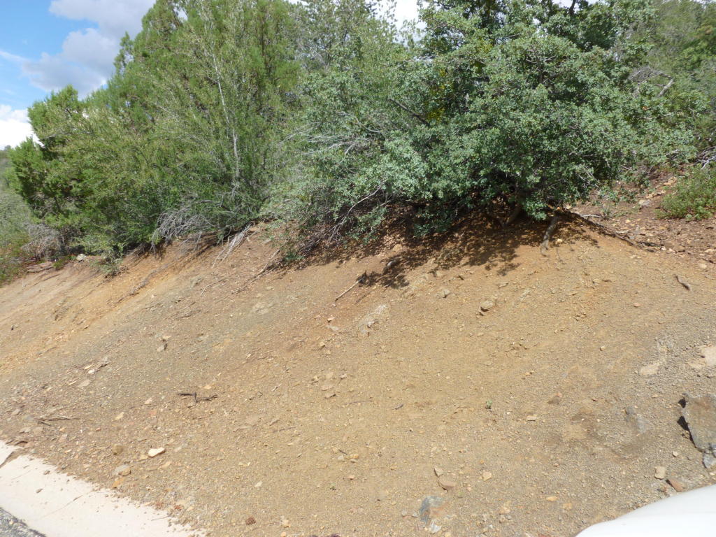 591 Autumn Oak Way, Prescott, AZ 86303