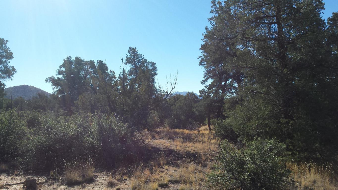 15325 N Tyler Avenue, Prescott, AZ 86305