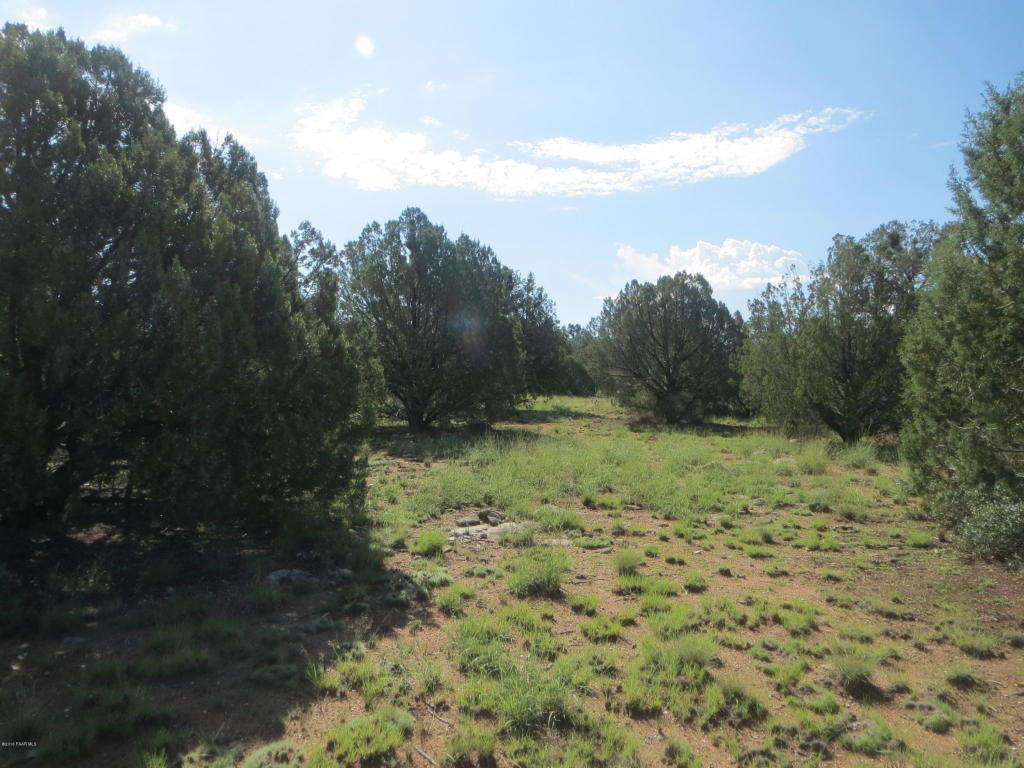 15595 N Hatfield Drive, Prescott, AZ 86305