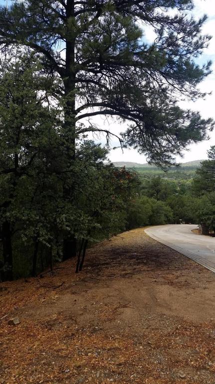 2300 W Loma Vista Drive, Prescott, AZ 86305