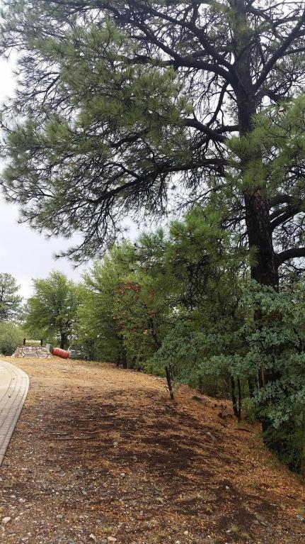 2300 W Loma Vista Drive, Prescott, AZ 86305