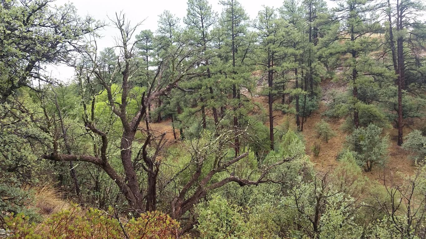 2300 W Loma Vista Drive, Prescott, AZ 86305