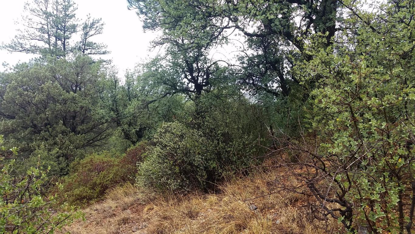 2300 W Loma Vista Drive, Prescott, AZ 86305