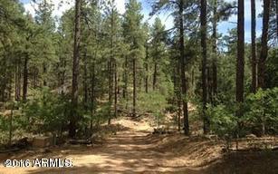 262 S BRADY Road, Prescott, AZ 86305