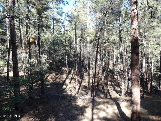 1037 N TURKEY Run, Prescott, AZ 86305